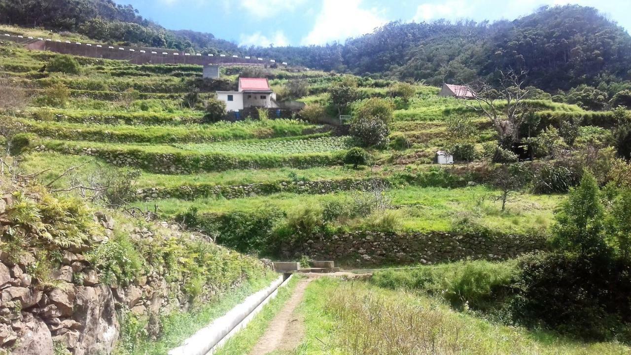 Vivenda Linda Vista Leilighet Porto Da Cruz Eksteriør bilde